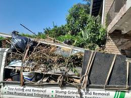 Best Electronics and E-Waste Disposal  in El Lago, TX